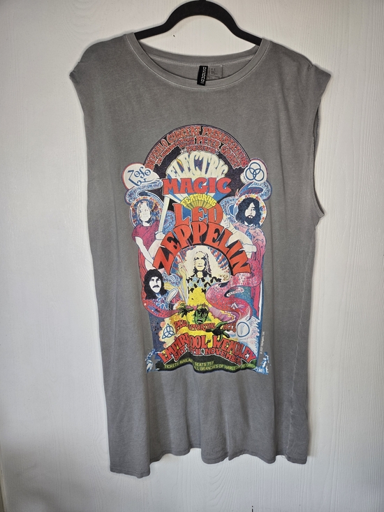 Divided Tops - Led Zeppelin Graphic Muscle Tee in Washed Gray